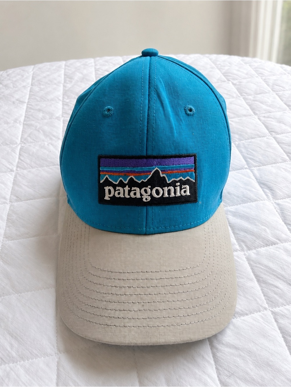 Patagonia P-6 Logo Snapback Hat Blue Grey Adjustable Baseball Cap